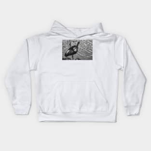 black and white portrait of American white ibis Kids Hoodie